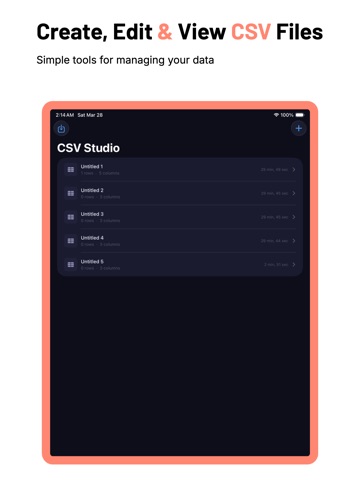 CSV Maker, Viewer & Editor iPad screenshot
