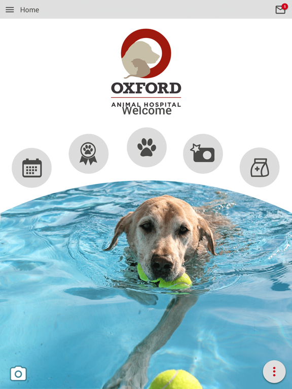 Oxford Animal Hospital