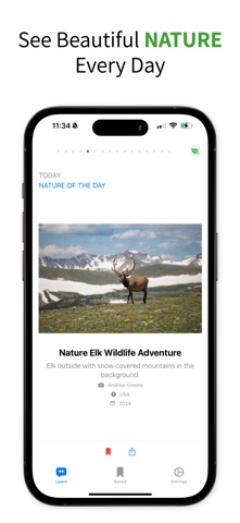 Of The Day: Words, Facts, Quiz screenshot