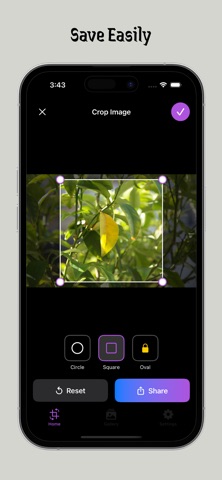 Circle Crop Image Screenshot 2 of 4