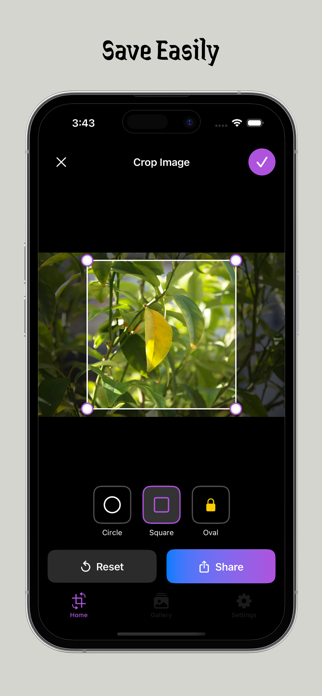 Circle Crop Image Screenshot 2 of 4