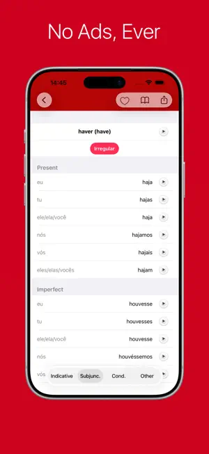 Portuguese Verb Conjugator Pro screenshot 1