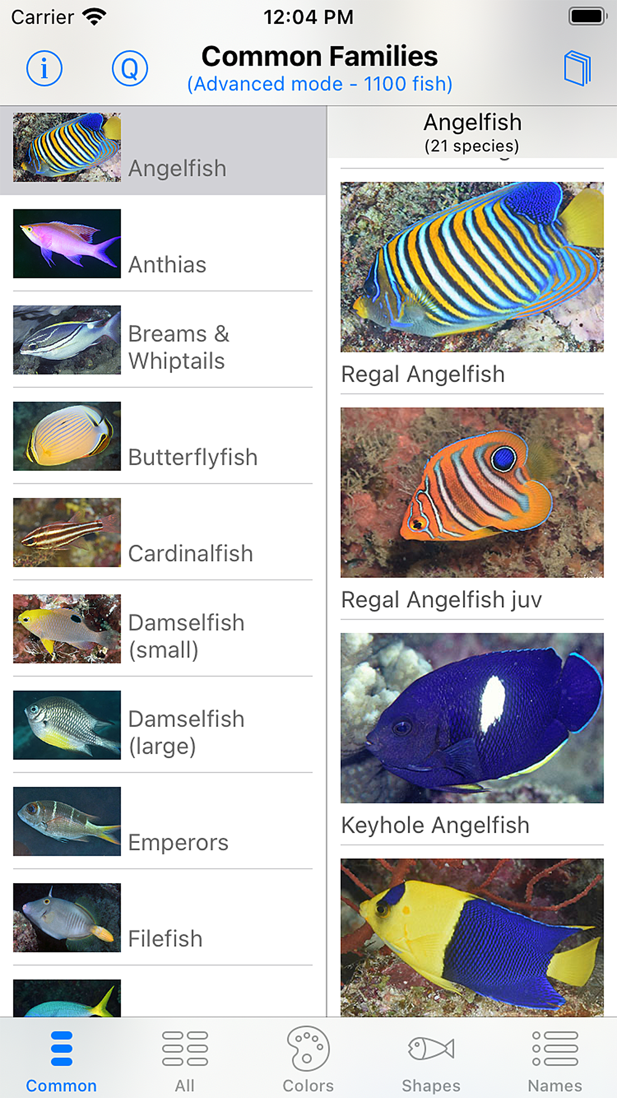 Philippines Fish ID
