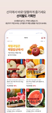 산지팔도 screenshot