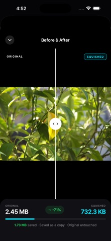 Squish - Image Compress Screenshot 4 of 5