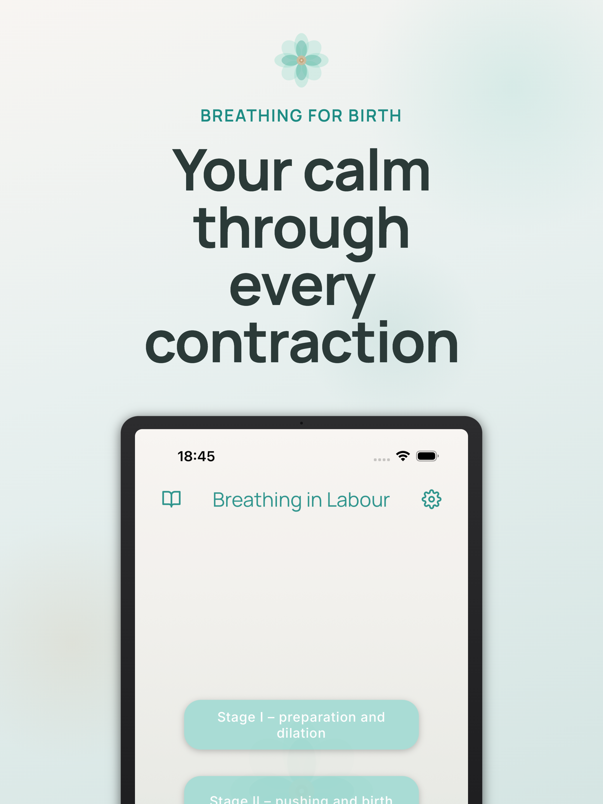 Breathing in Labour screenshot 7