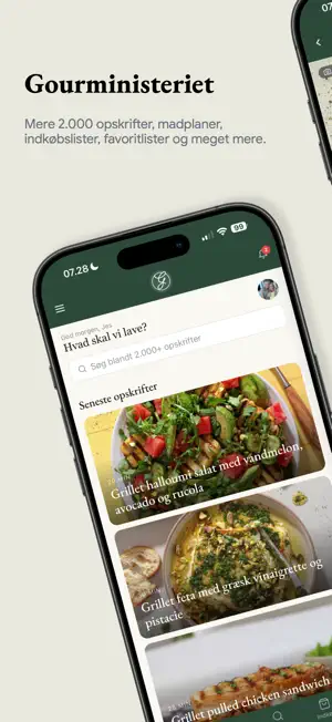 Gourministeriet screenshot 1
