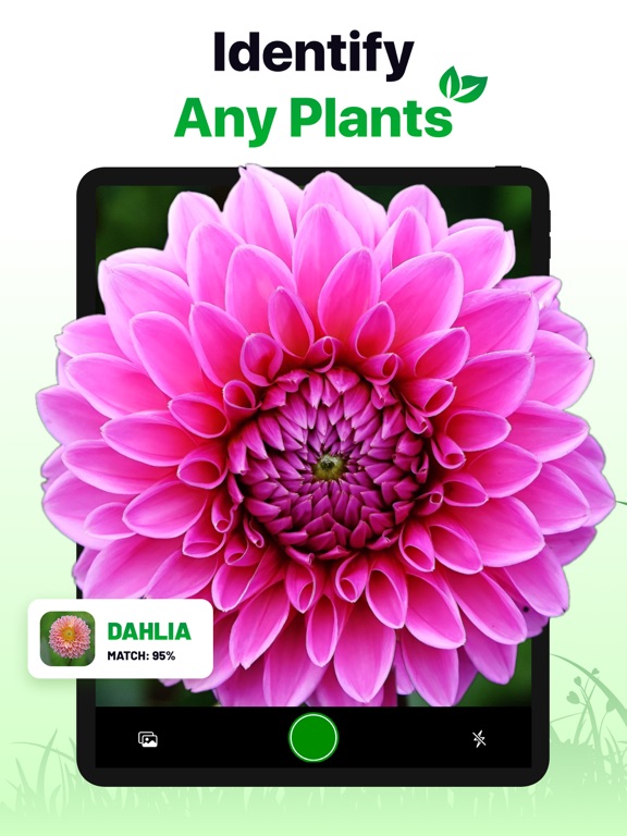 Plant ID: Nature Identifier AIのおすすめ画像1