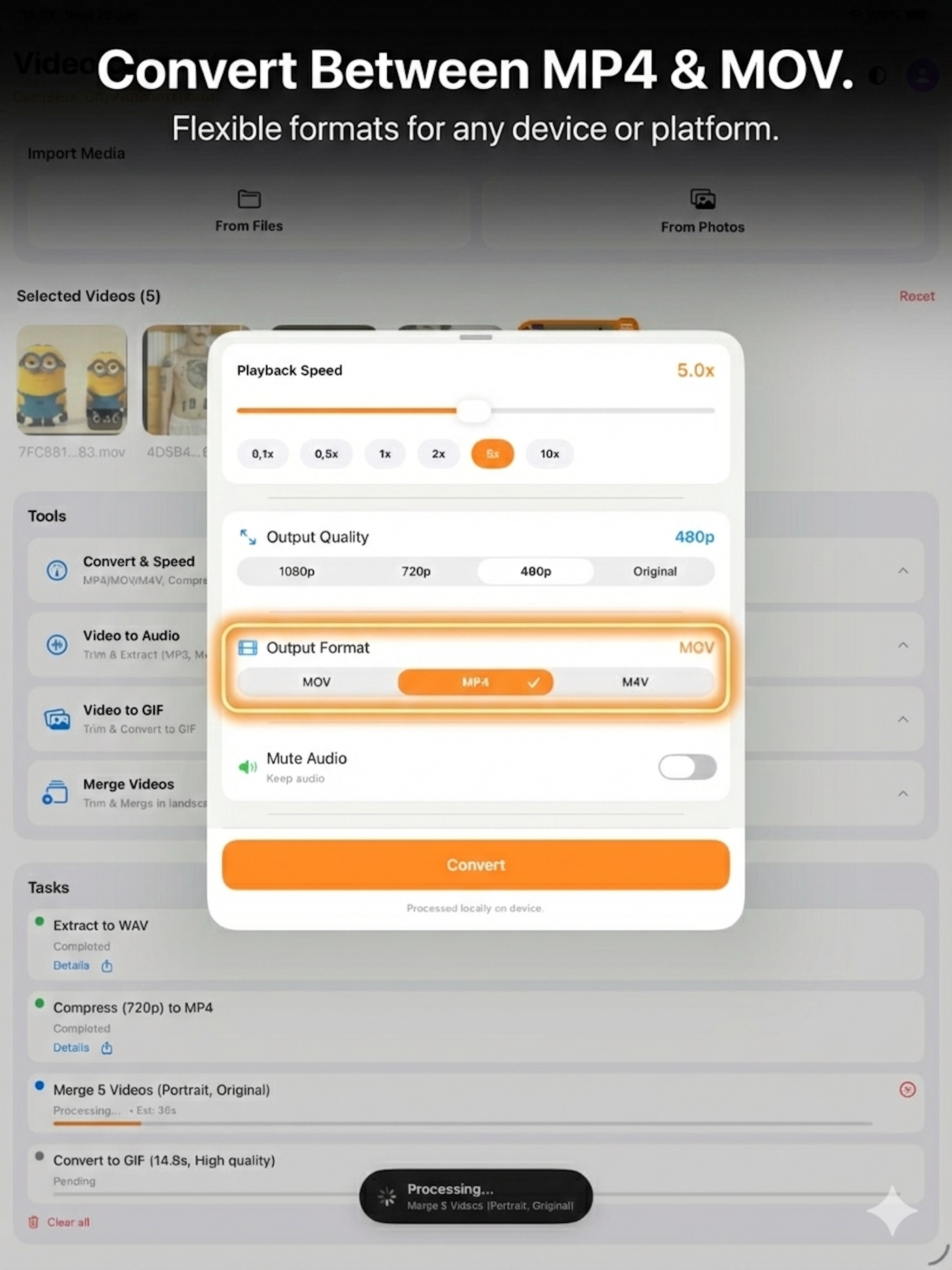 Offline Video Converter & Tool