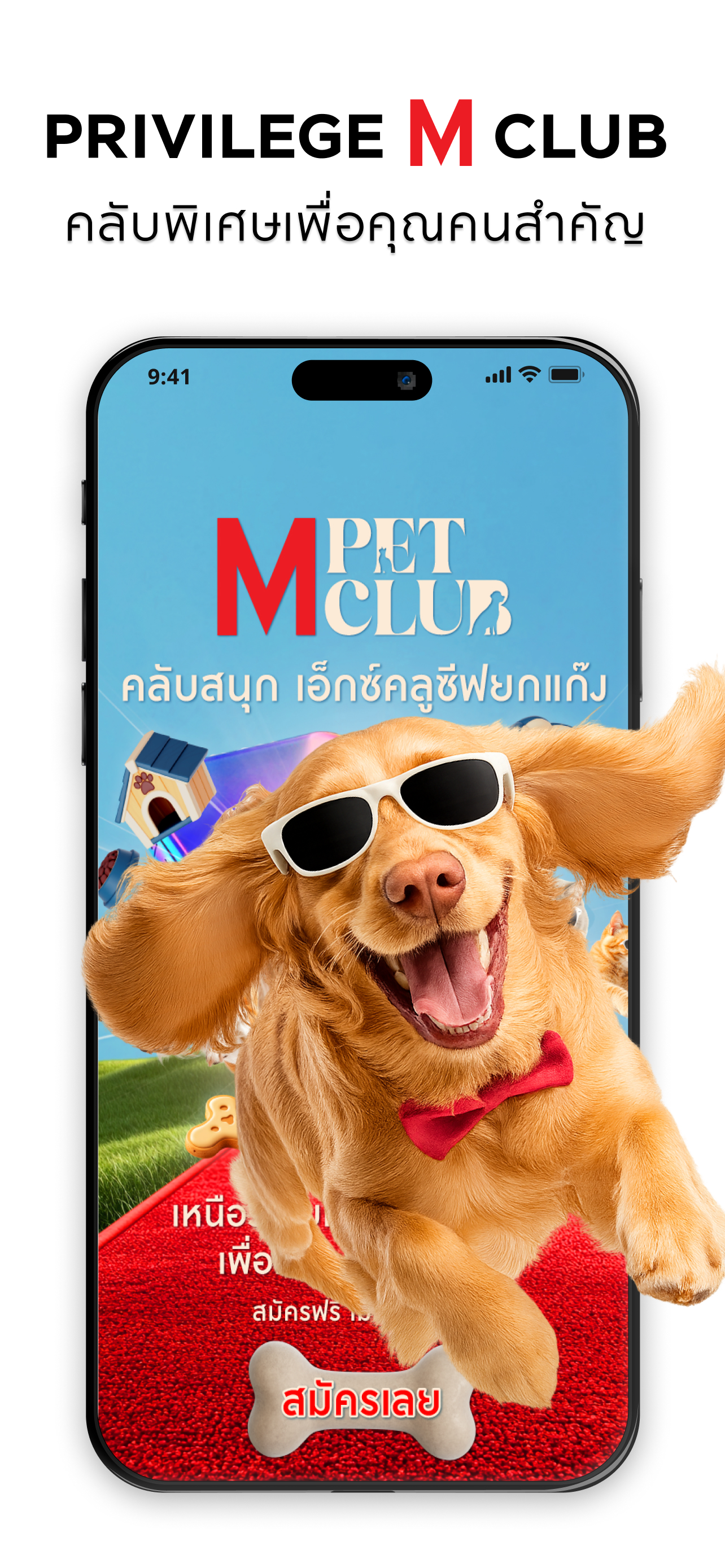 M Card Rewards & Lifestyle screenshot 8