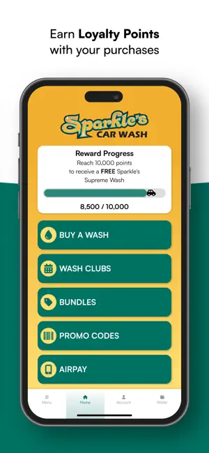 Sparkle's Car Wash UT screenshot 2