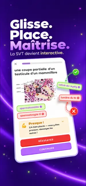 DuoBac – Bac Sciences Tunisie screenshot 2