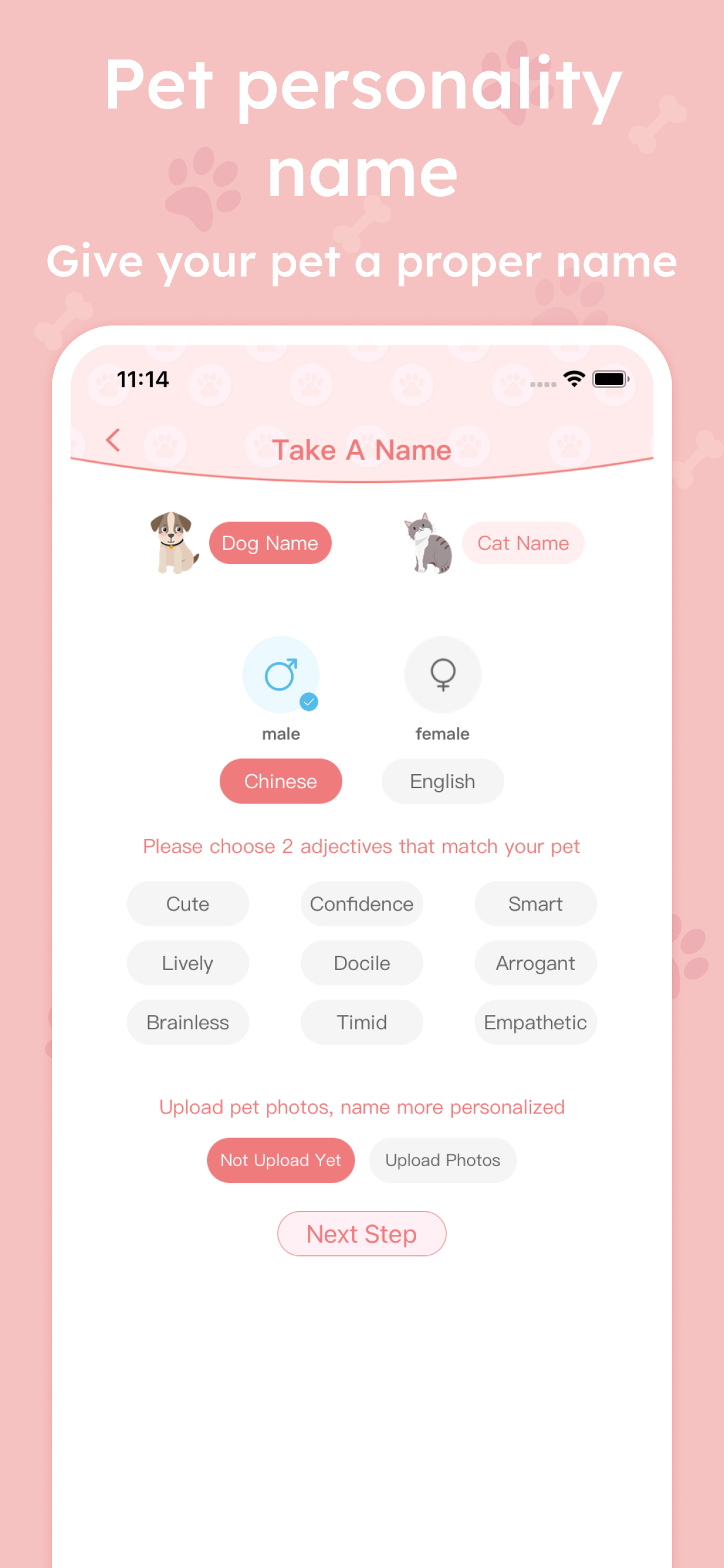 Animal Translate