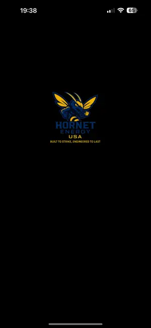 HORNET ENERGY USA screenshot 1