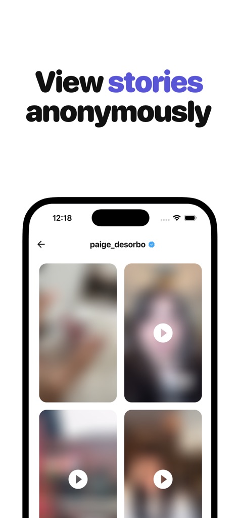 Toxic: Followers Tracker - Users can browse Instagram stories with complete discretion, as the app allows for 'anonymous viewing' of profiles like 'paige_desorbo' and their blurred story content.