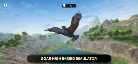Bird Fly High 3D Simulator - Games App | MWM