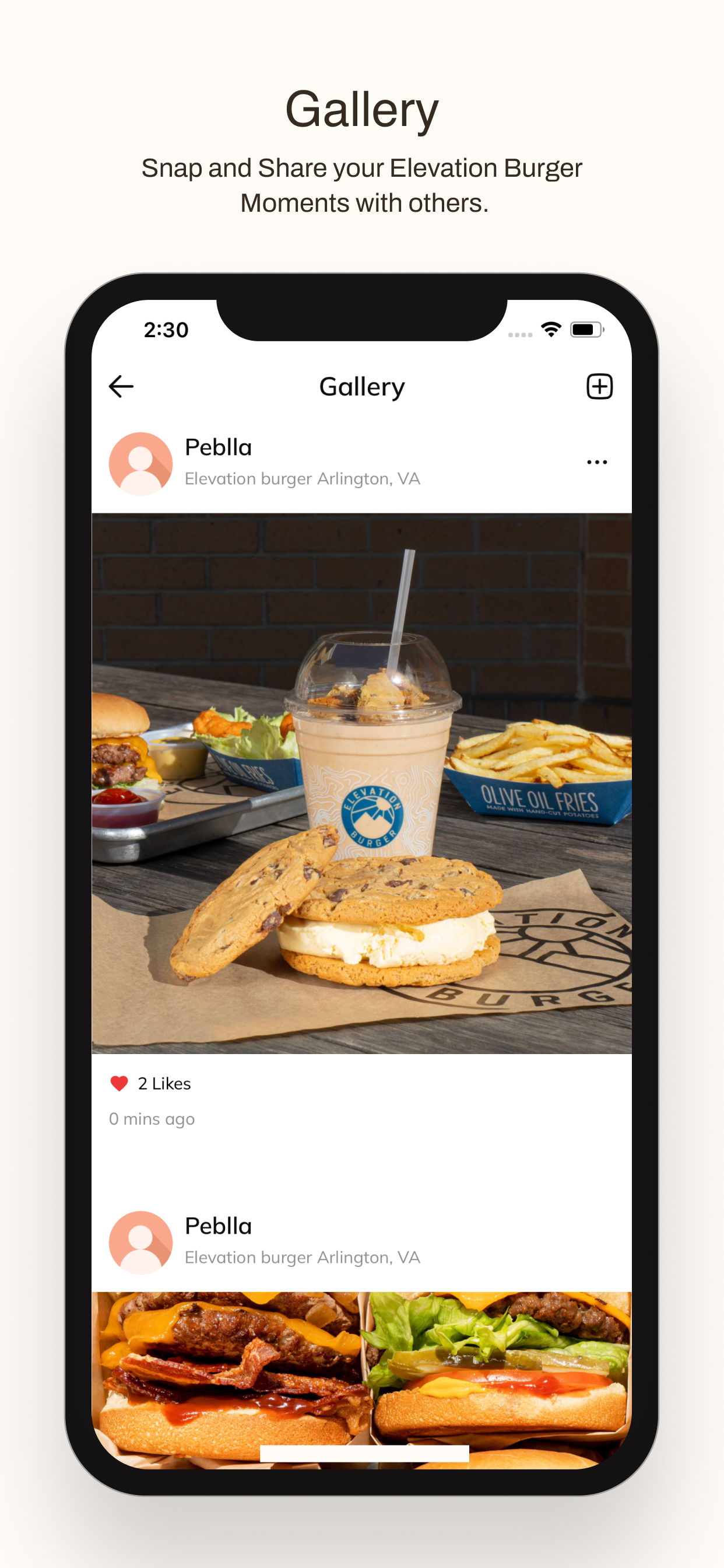 Elevation Burger VA