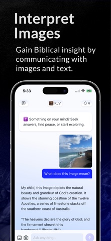 Bible Chat Companion screenshot