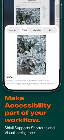 Shiuli: Alt Text Generator Screenshot 3 of 4