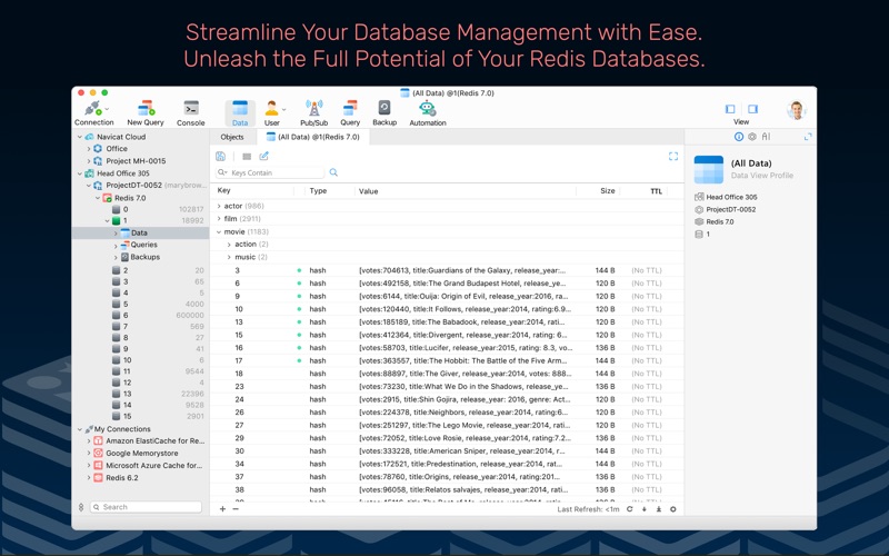 Navicat 17 for Redis app screenshot