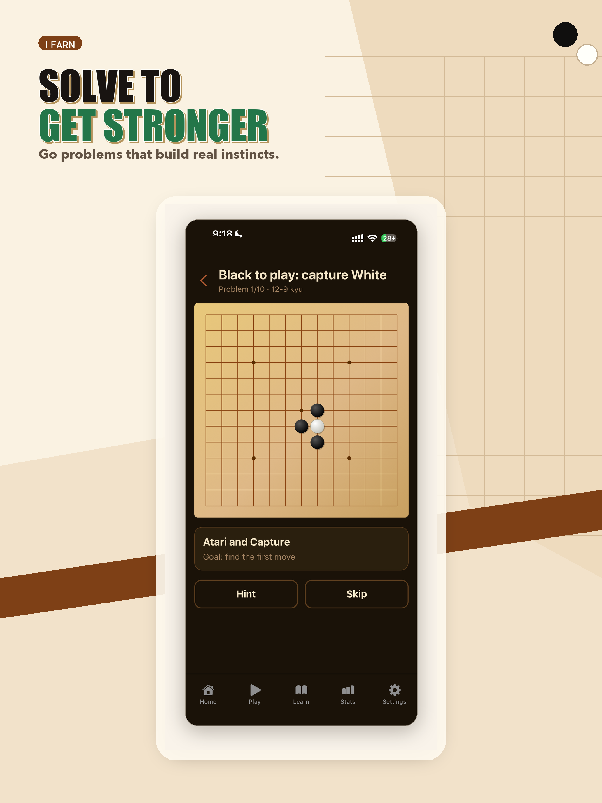 Go AI: Offline On-Device AI