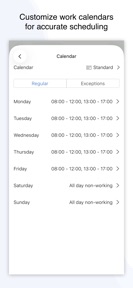 Project Office X: Gantt chart screenshot