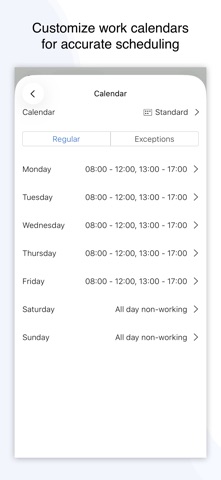 Project Office X: Gantt chart iPhone screenshot