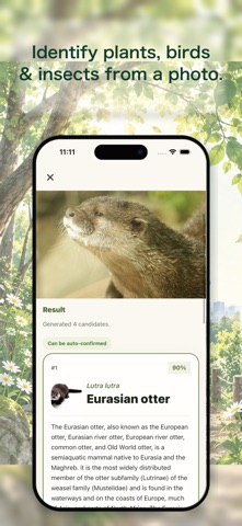 Piko - Nature AI Guide Screenshot 1 of 5