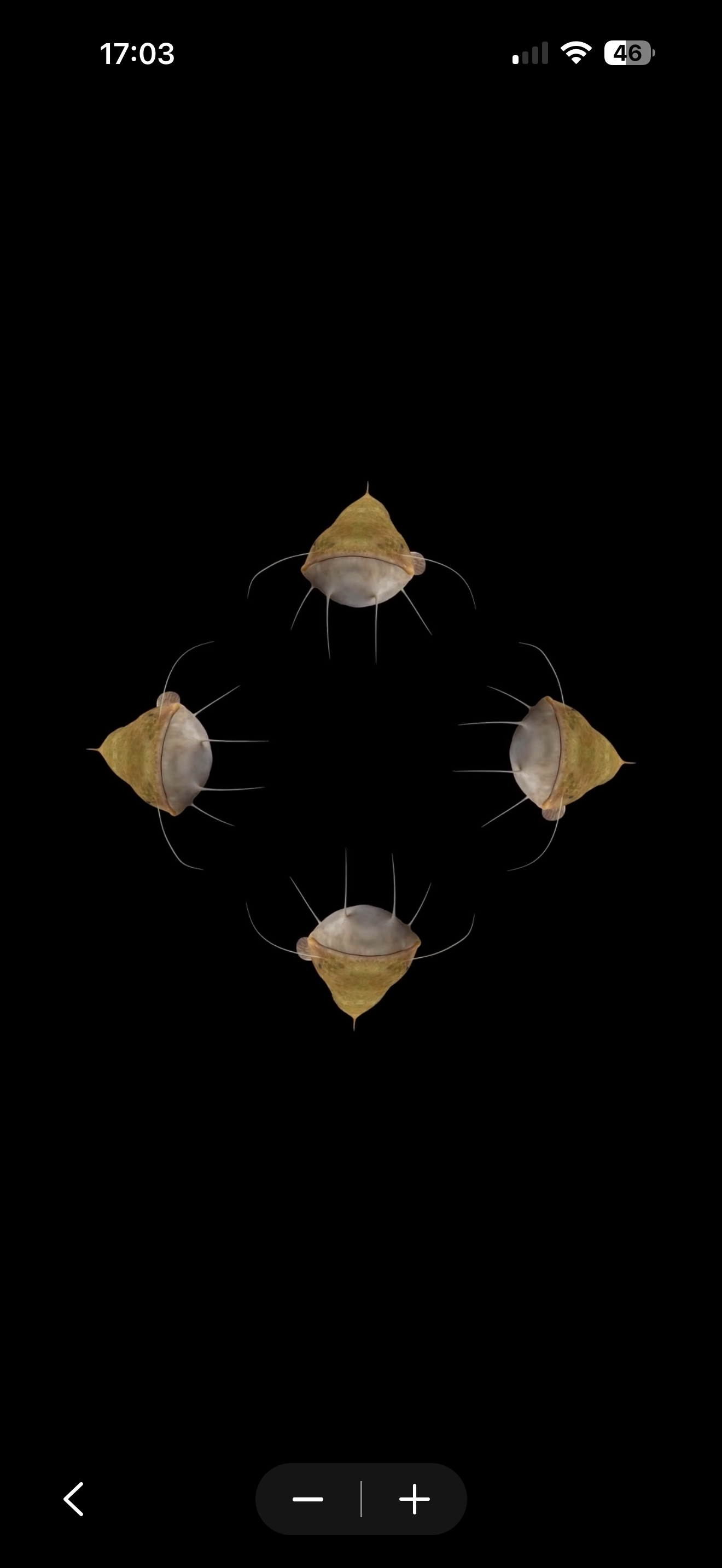 Holobios