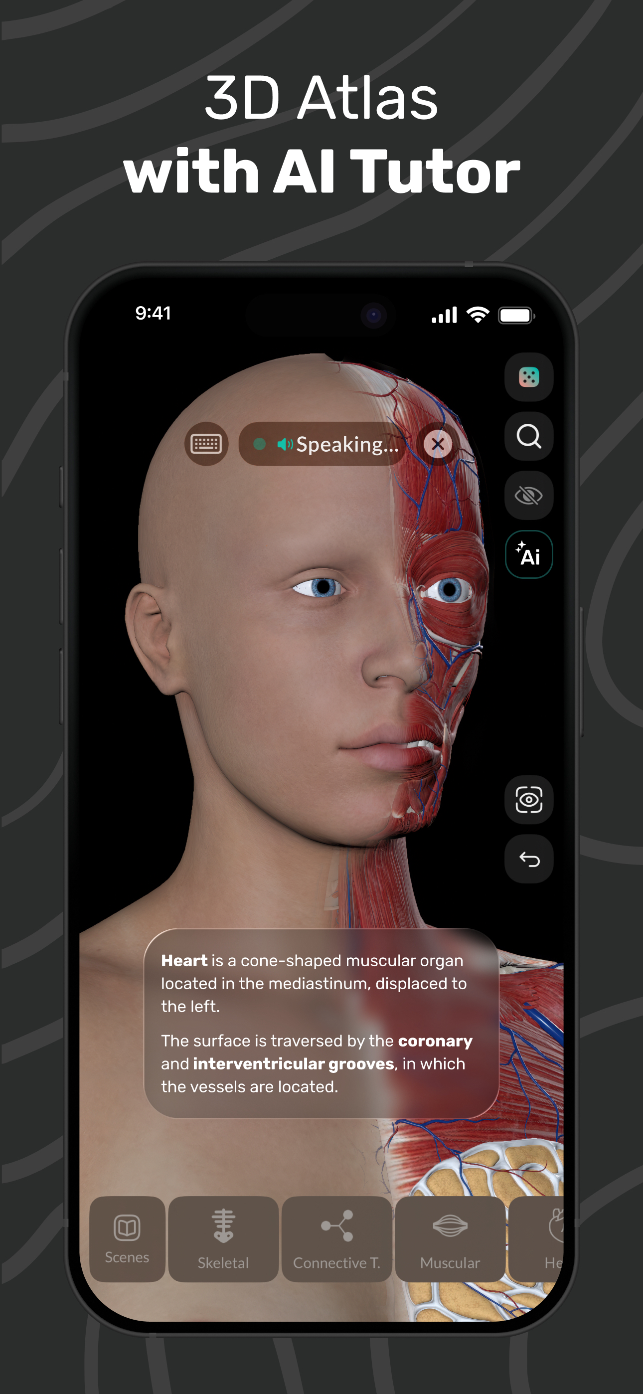 Easy Anatomy 3D with Voice AI