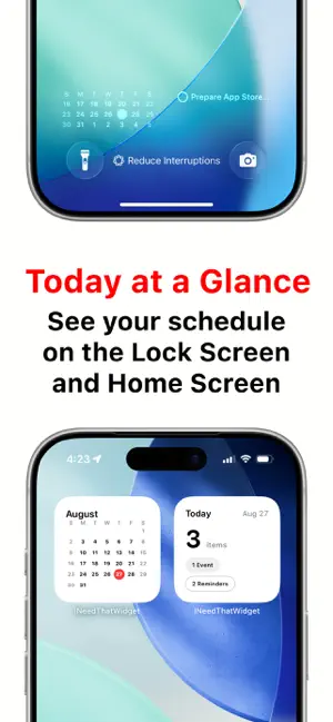 I Need That Widget: Calendar screenshot 3