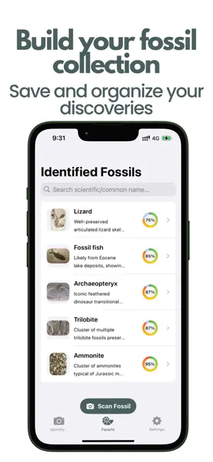 Fossil Identifier: Fossil ID screenshot 3