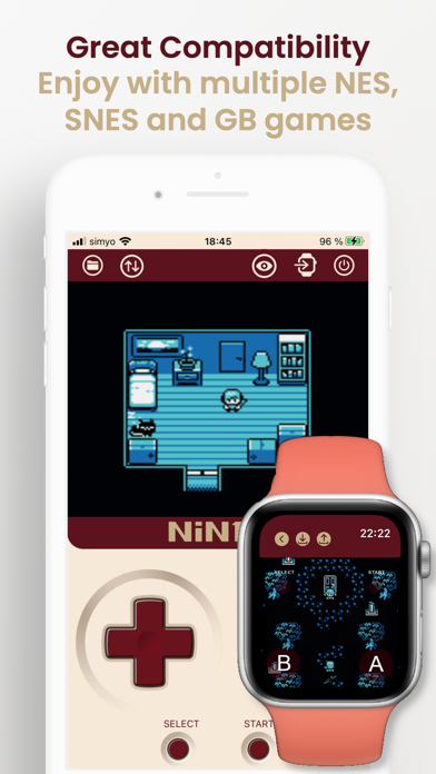 NiN10: SNES, NES, GB & GBA Emu Screenshot