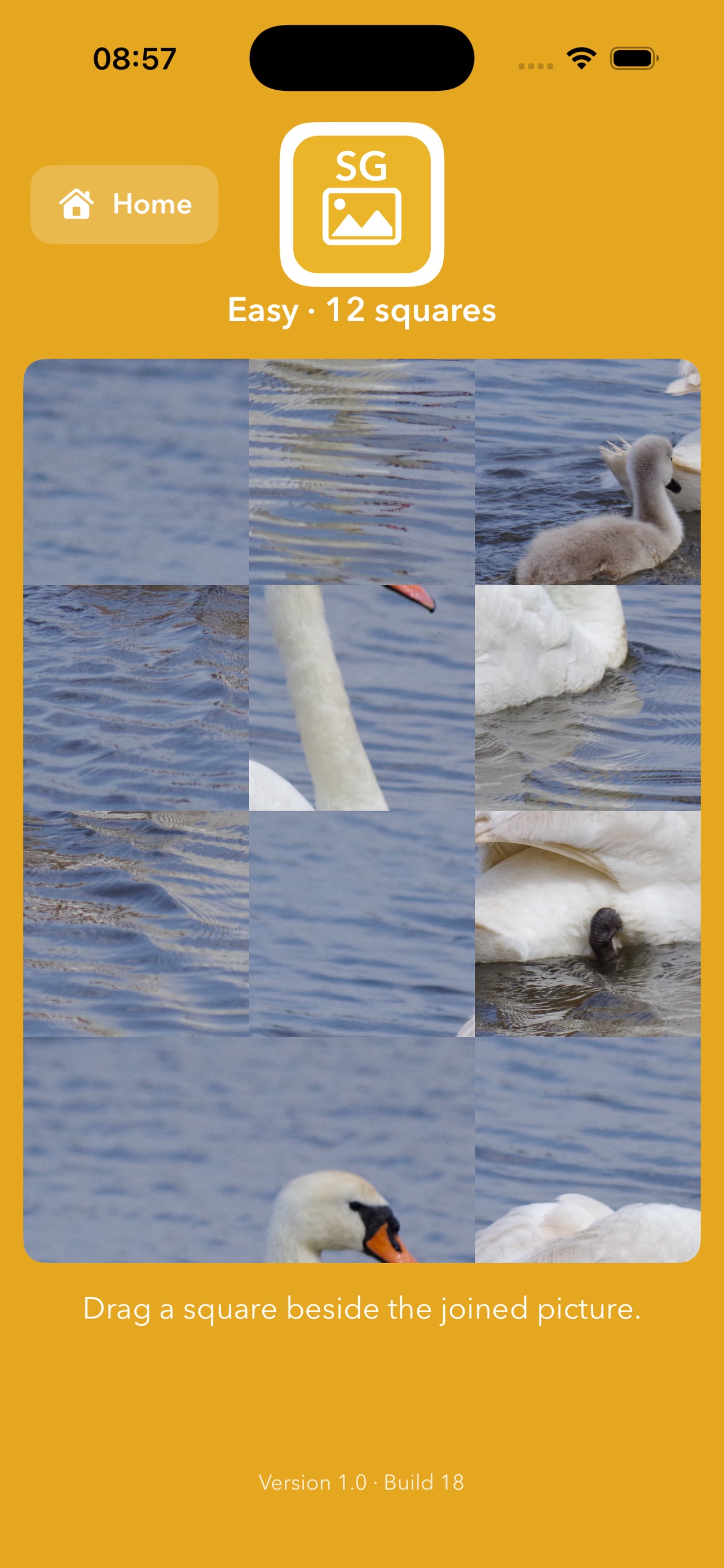 Screenshot 2 of Simple Games Bird Discovery