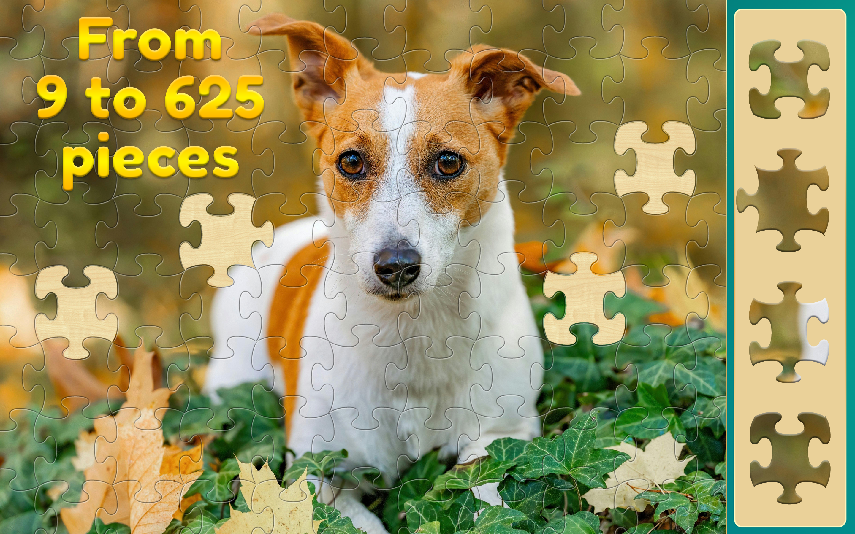 Stress Free Jigsaw Puzzles