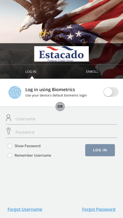 Estacado Visa Screenshot