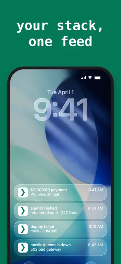 pingrb: webhook push alerts screenshot 1