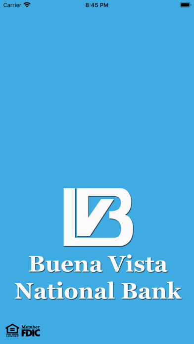 Buena Vista National Bank Screenshot