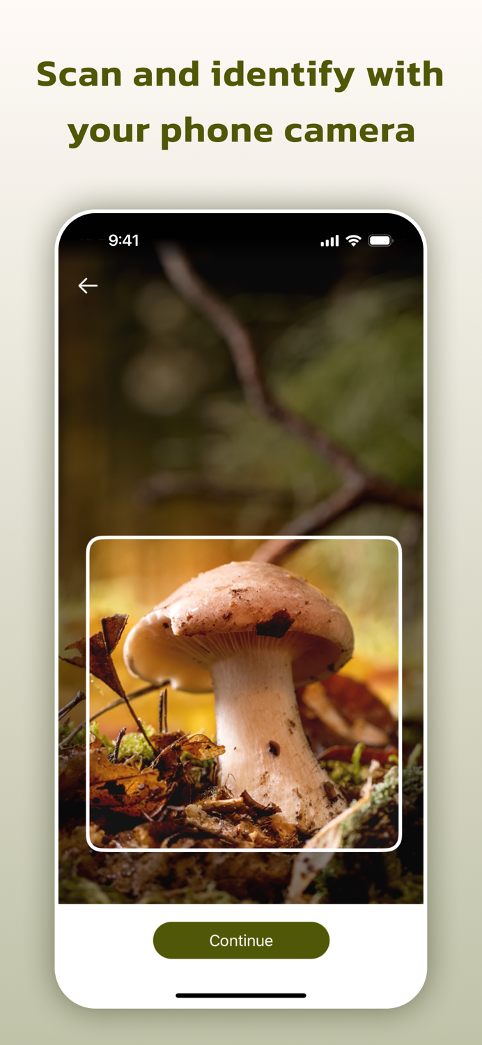 Mushroom Identifier -