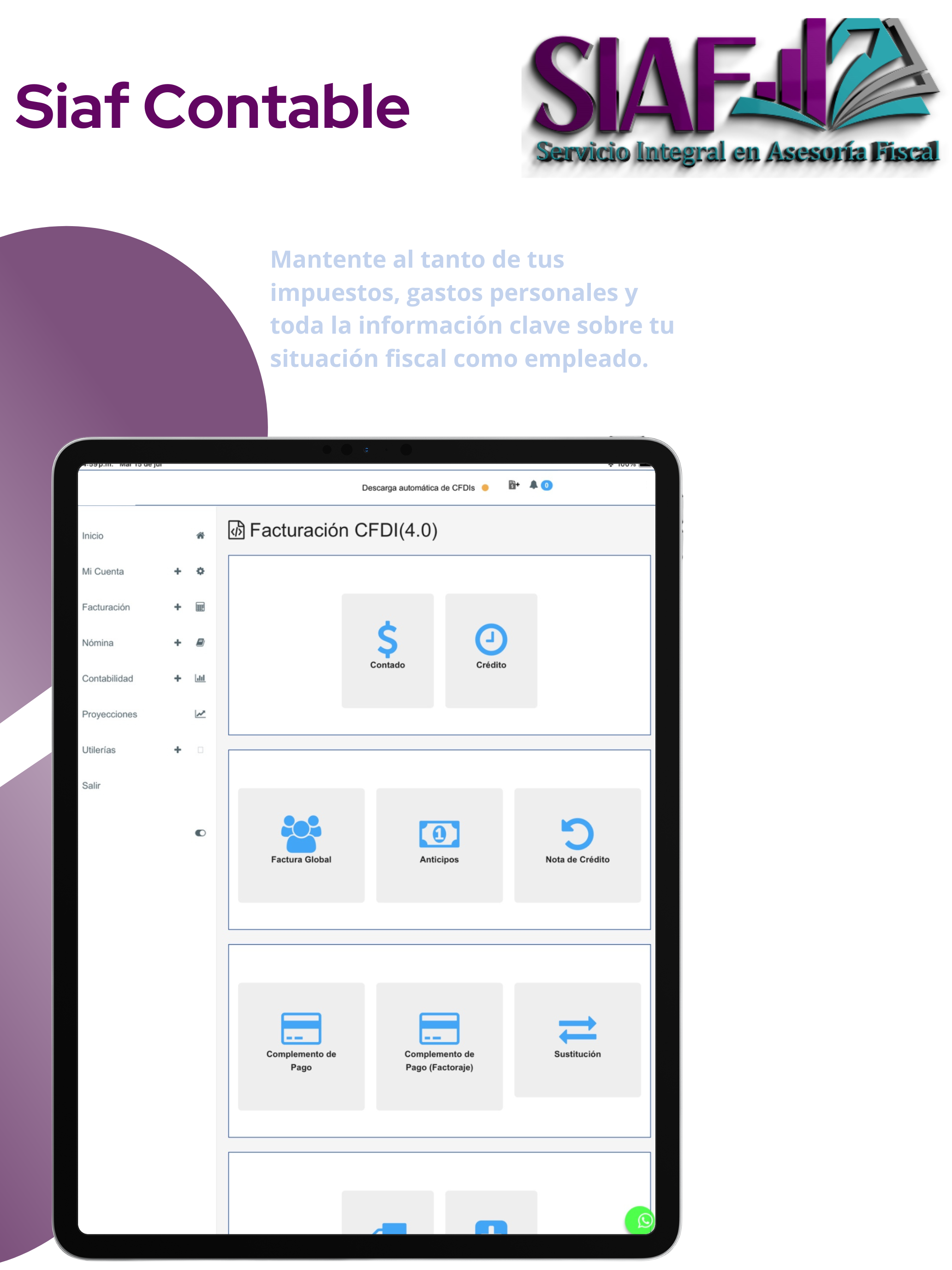 Siaf Contable screenshot 8