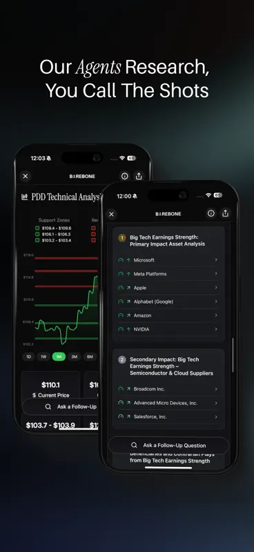 Barebone - AI Stock Research screenshot 2 of 5