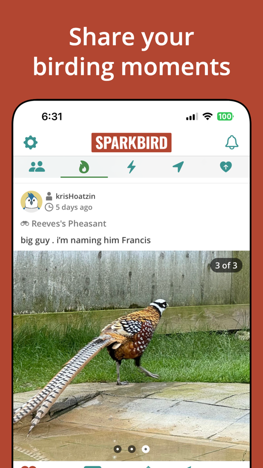 #1. Sparkbird (iOS) 由: Sentryware LLC
