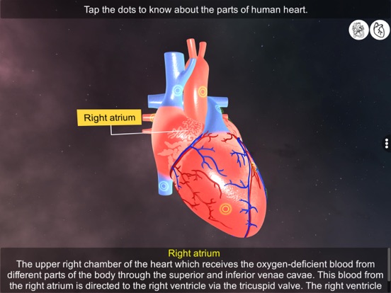 Screenshot #5 pour Heart - An incredible pump