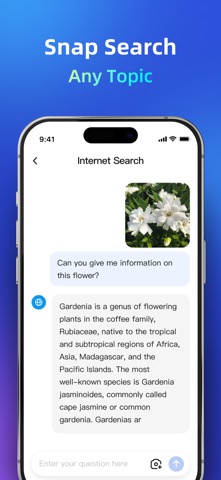 DeepSearch AI - Ask Anything iPhone screenshot