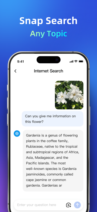 DeepSearch AI - Ask Anything Screenshot 3 of 4