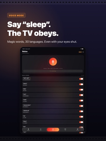 LazyBinger: Voice TV Remote iPad screenshot