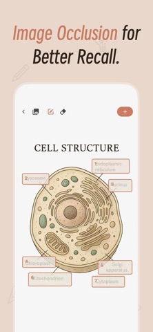 Noolingo AI Flashcards & Quiz Screenshot 8 of 10