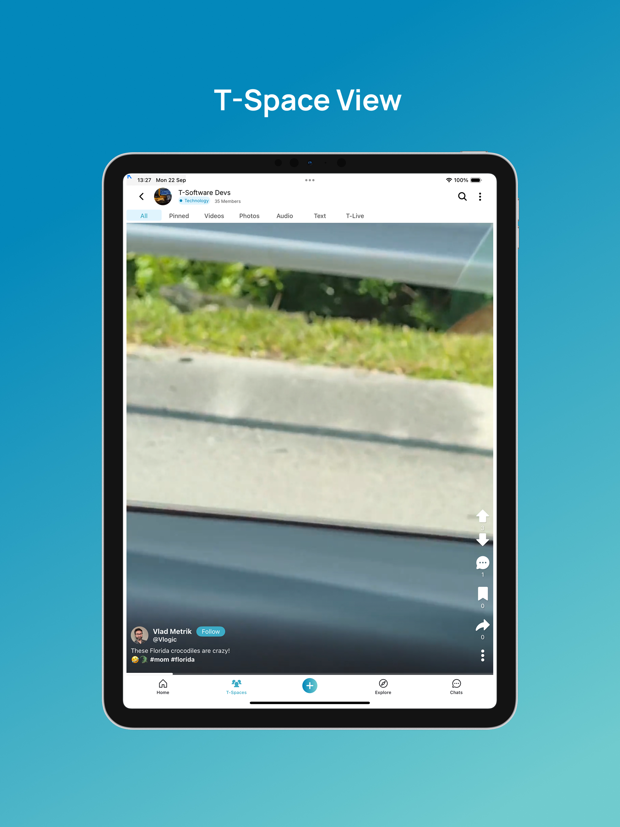 TwinOver screenshot 7