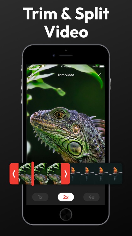 Video Speed Editor,Changer App screenshot-4