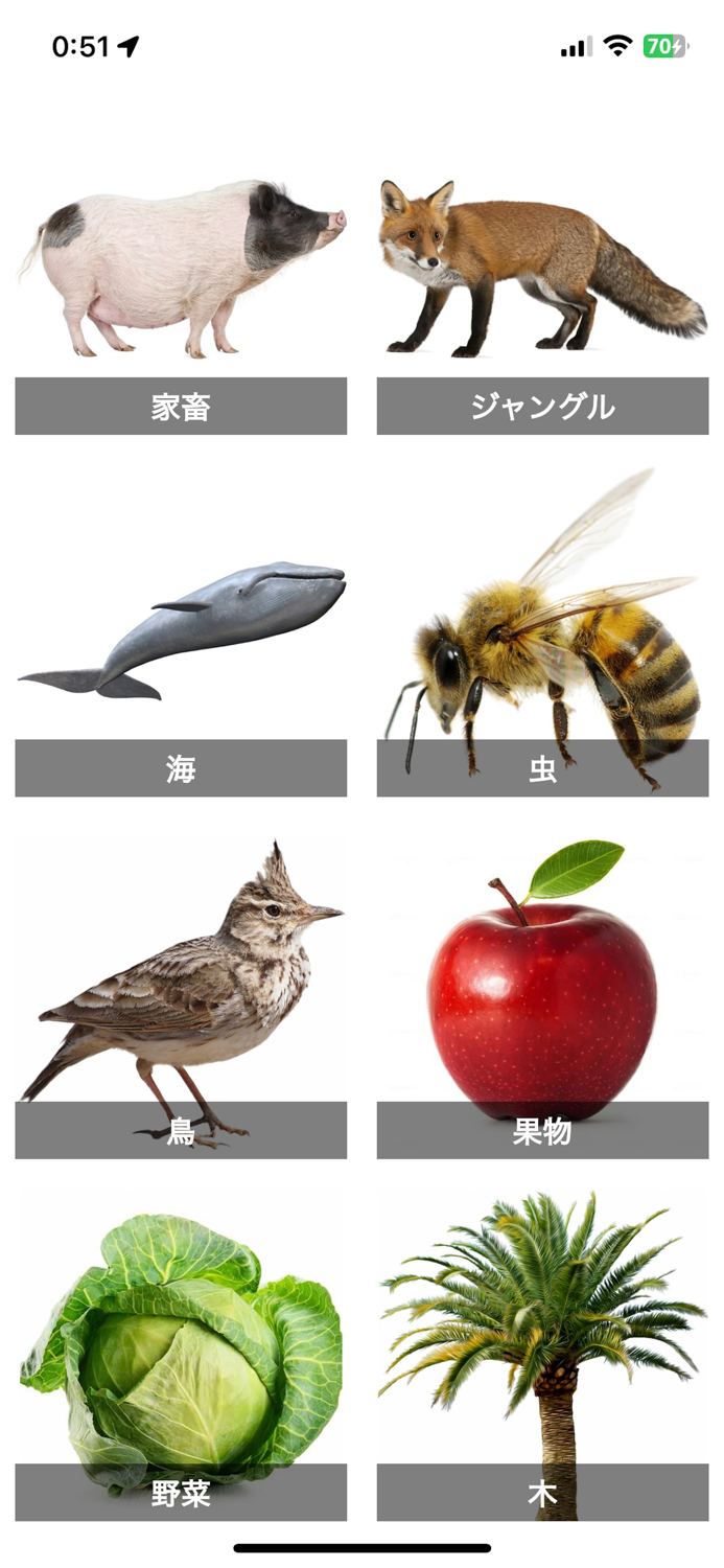 Flashcard Japanese beginner